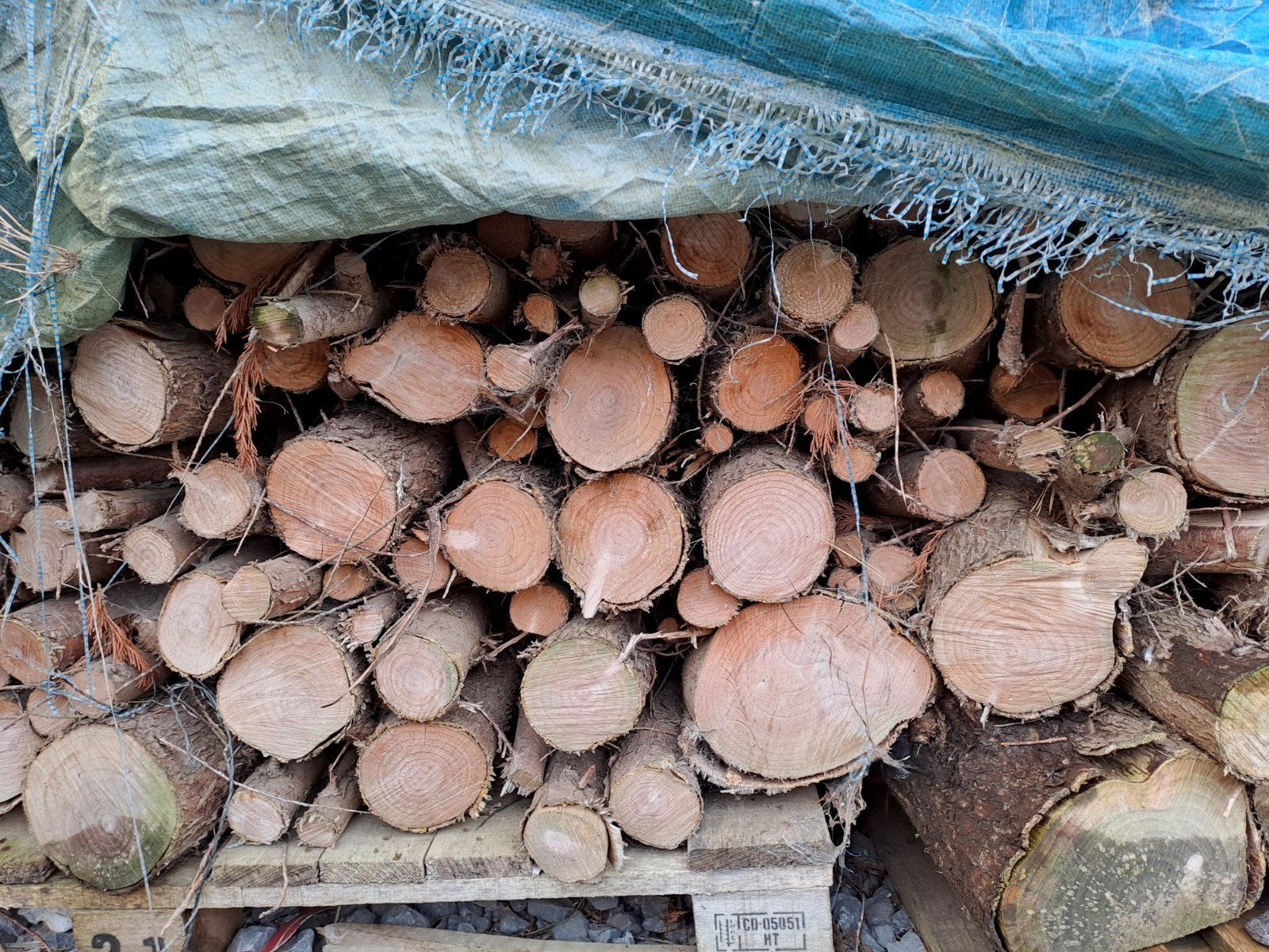 bois de chauffage sapin, Jardin & Terrasse, Enlèvement