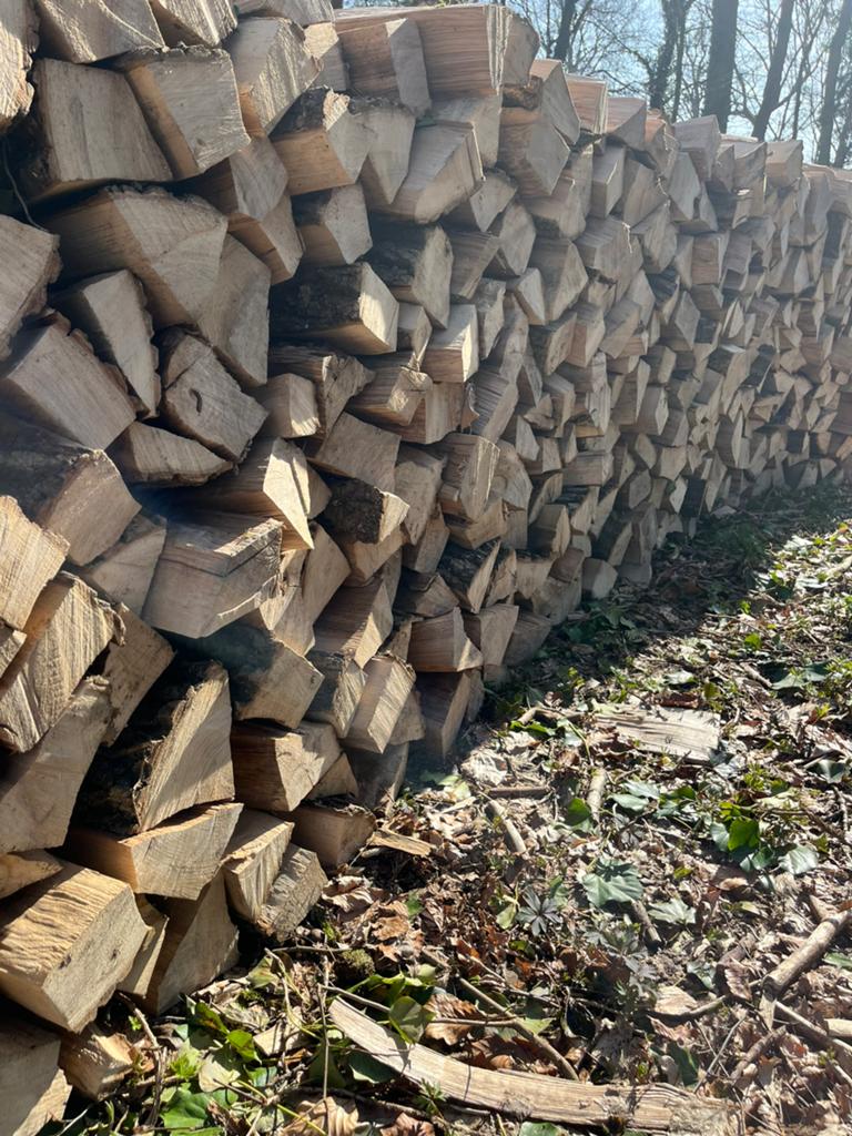 Bois de chauffage, 3 à 6 m³, Enlèvement, Frêne, Bûches