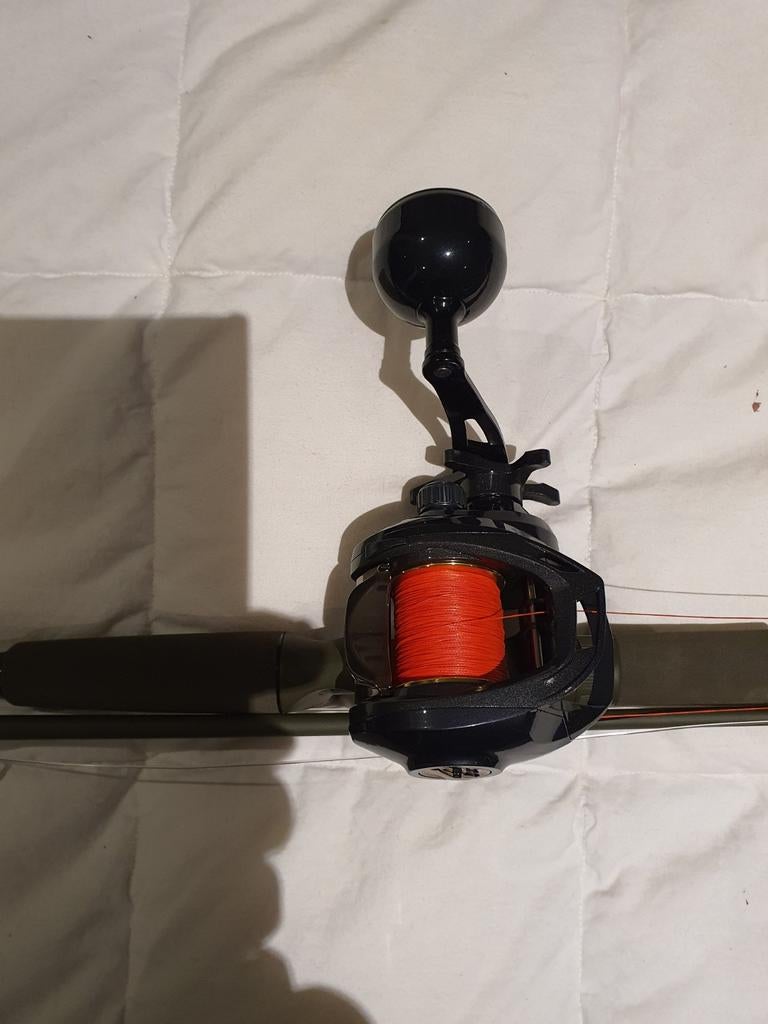 Canne casting savage gear 2,5 m, puissance  170 grs, Sports nautiques & Bateaux, Pêche à la ligne | Poissons prédateurs, Enlèvement