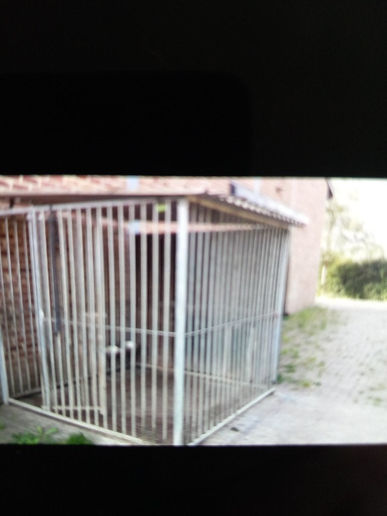 Hondenren met hok, Dieren en Toebehoren, Hondenhokken, Ophalen, Gebruikt, Hondenhok
