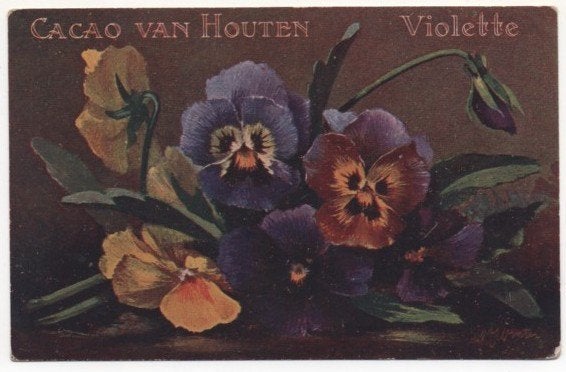 CACAO VAN HOUTEN, Ophalen of Verzenden, Voor 1920