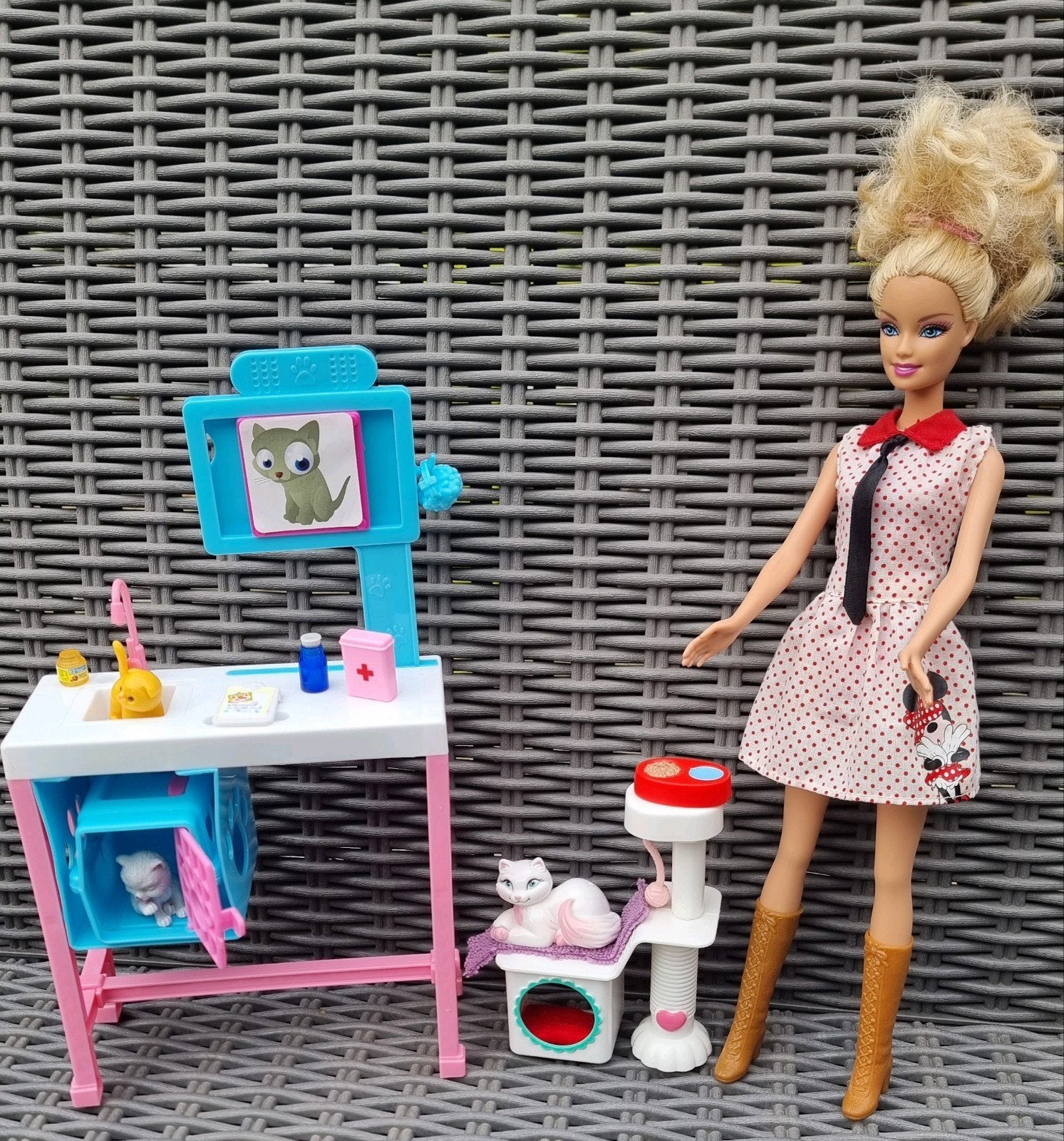 Centre de vétérinaire, Enlèvement, Barbie