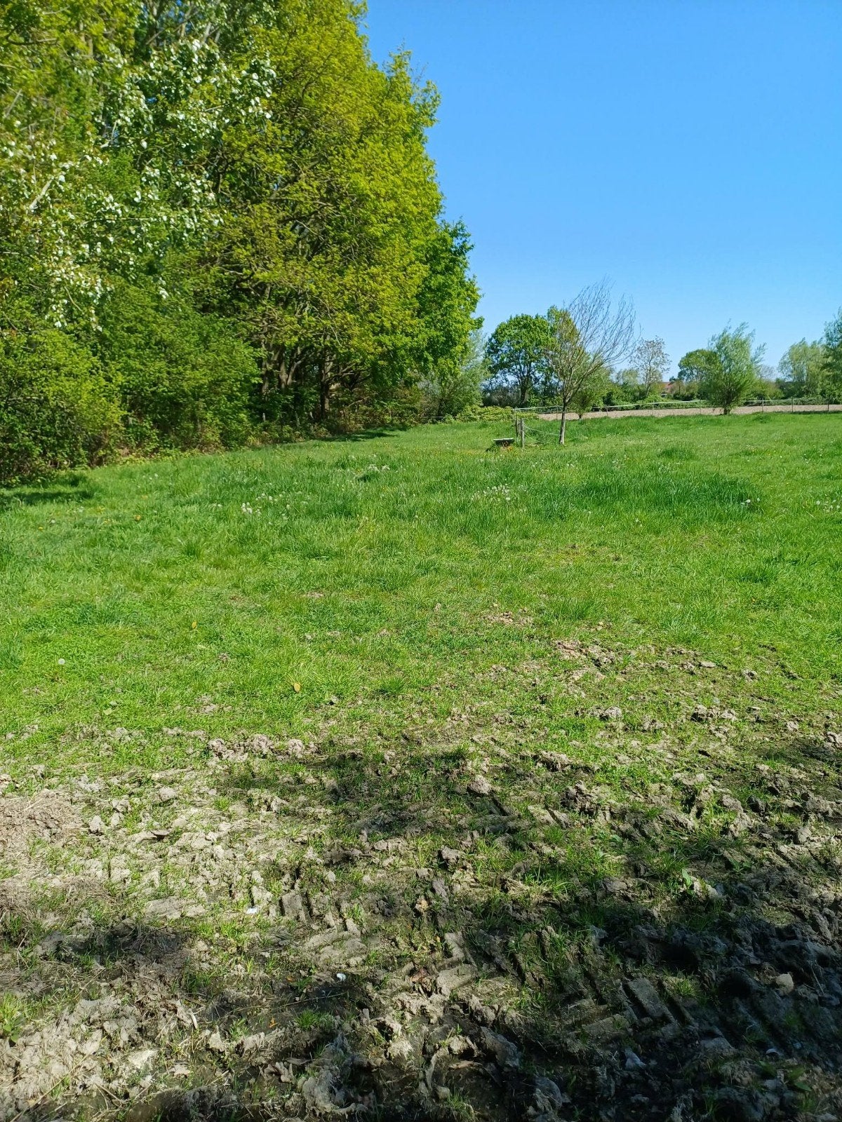 weide te huur, Dieren en Toebehoren, Stalling