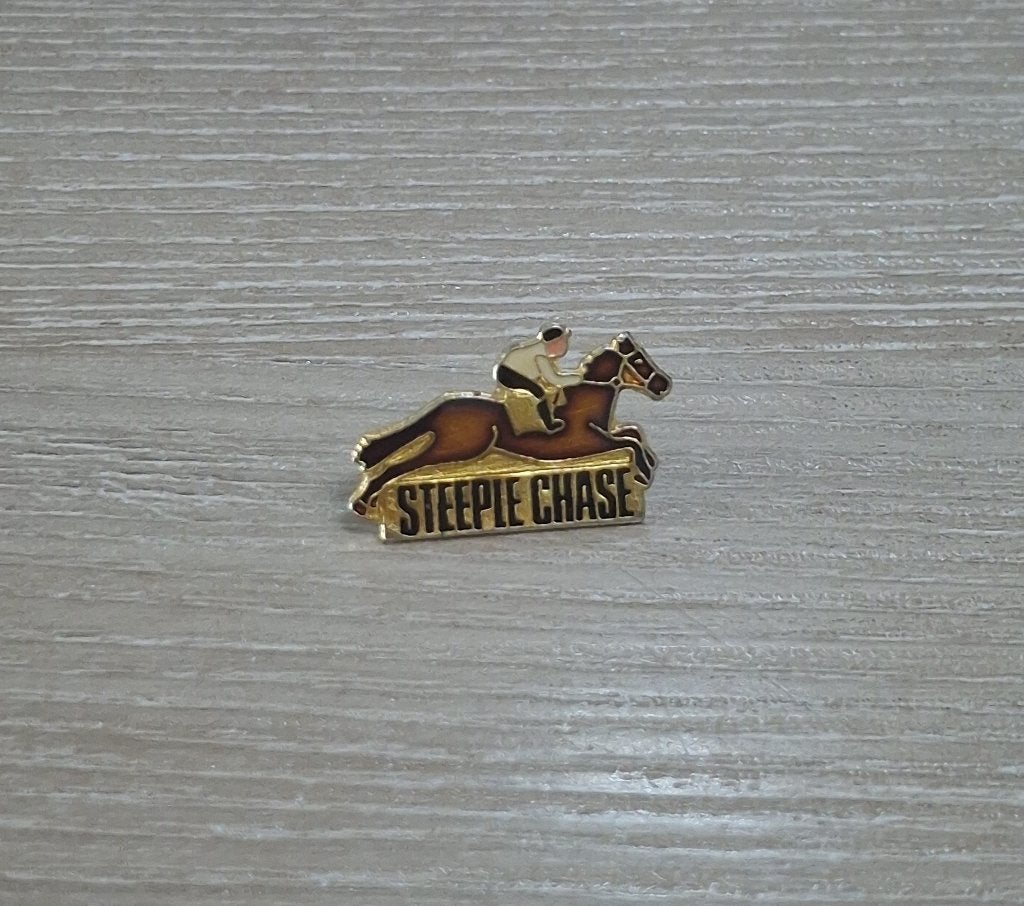 PIN - STEEPLE CHASE - PAARDENKOERS - COURSE A CHEVAL, Envoi, Utilisé, Sport, Insigne ou Pin's