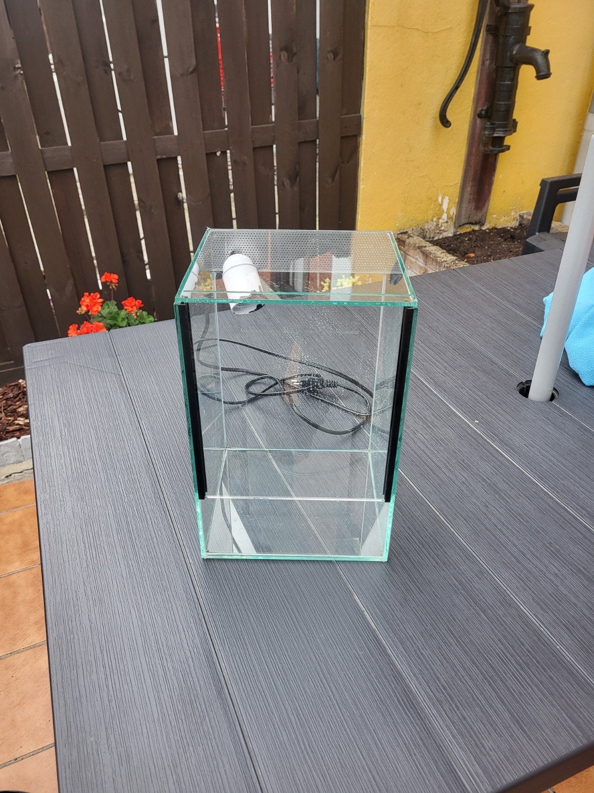 terrarium, Animaux & Accessoires, Enlèvement