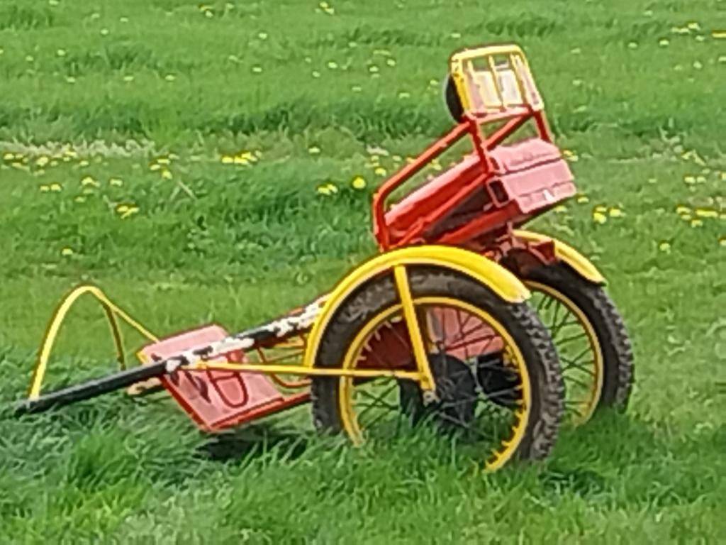 koets, Utilisé, Calèche marathon, Cheval ou Poney