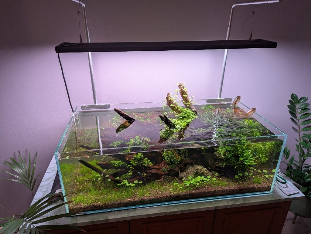 volledige aquascape aquarium set, Dieren en Toebehoren, Ophalen, Gebruikt, App-bediening, Gevuld zoetwateraquarium