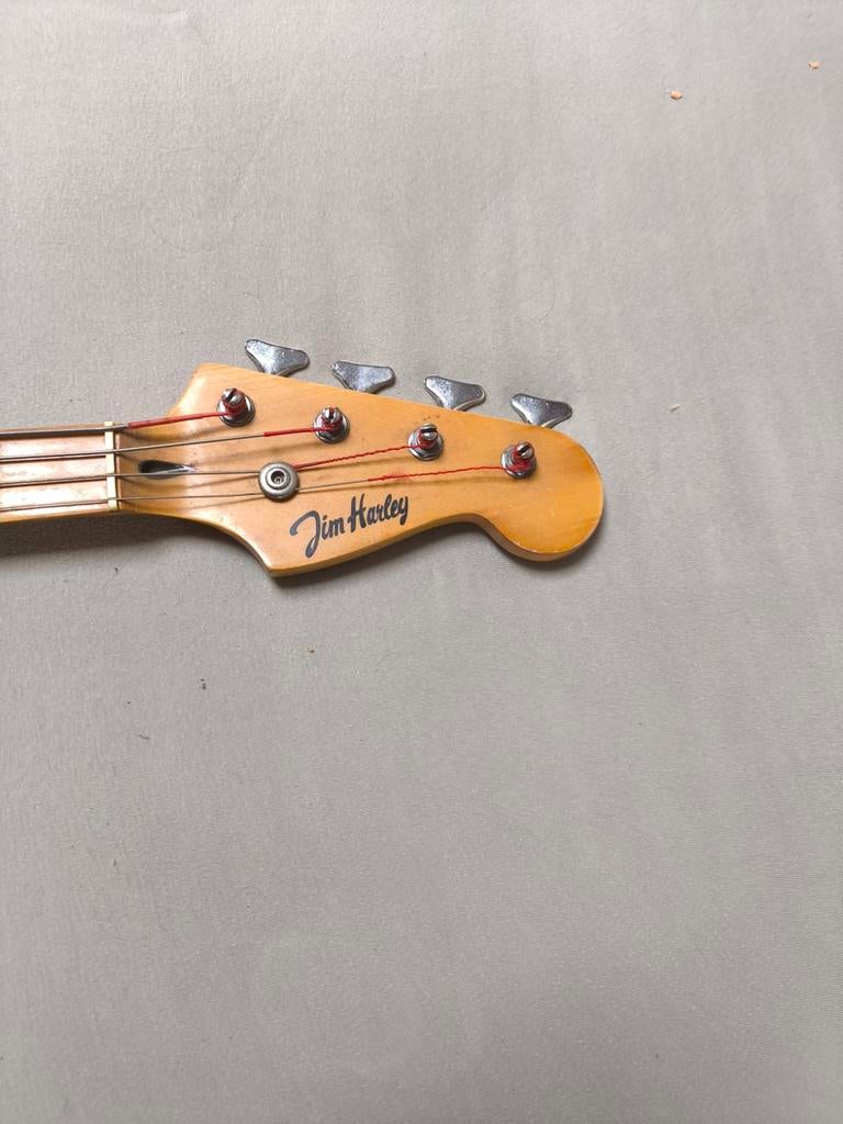 bass gitaar, Enlèvement, Guitare basse électrique