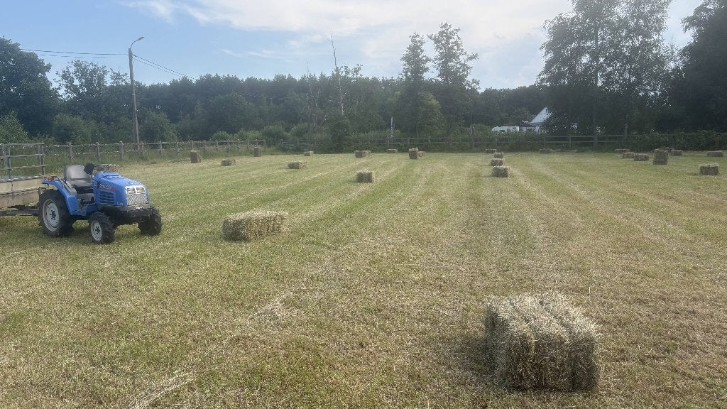 Pakjes hooi eerste snede, Ophalen