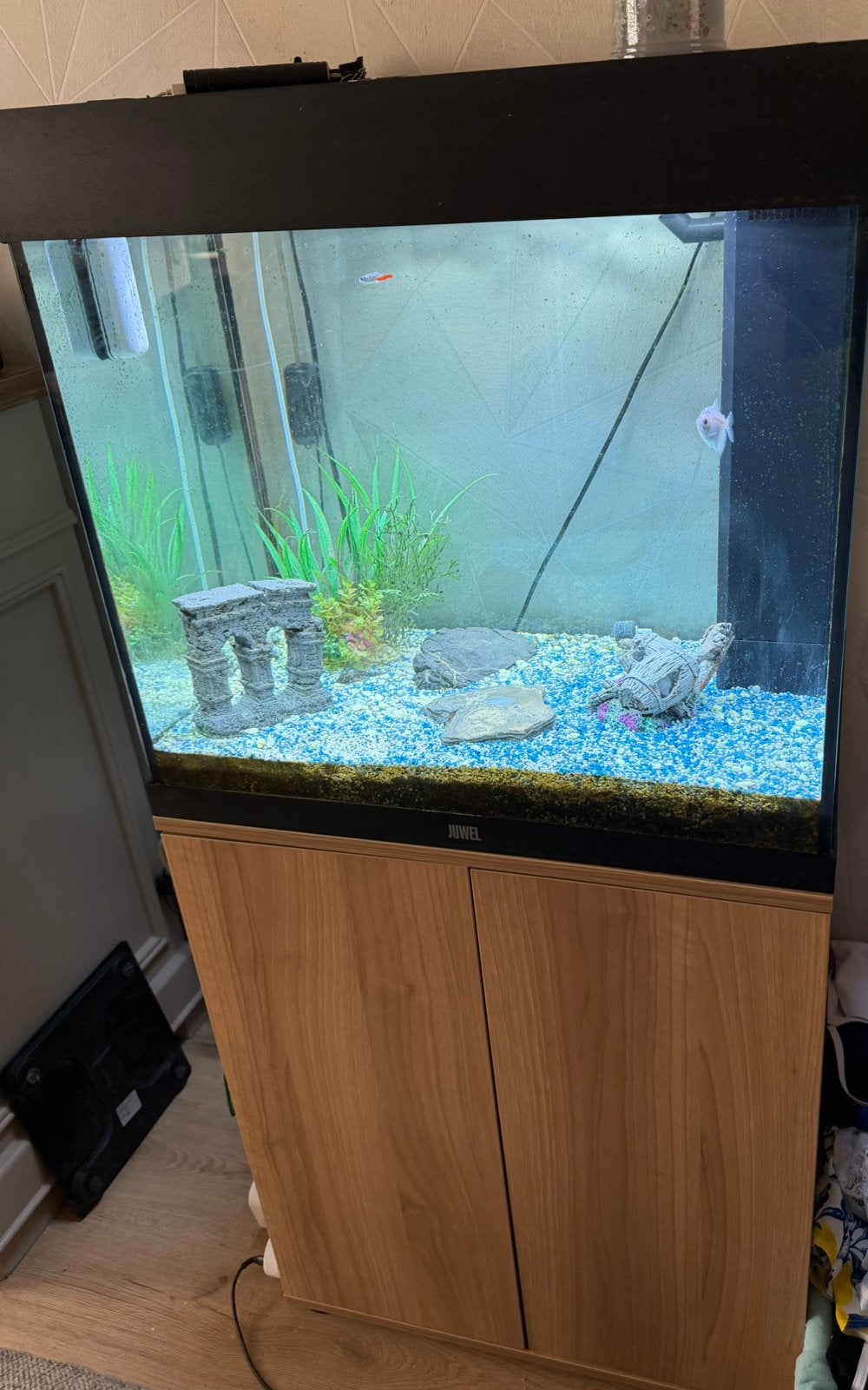 Aquarium met onderkast, Ophalen, Aquariummeubel, Inclusief vissen, Zo goed als nieuw