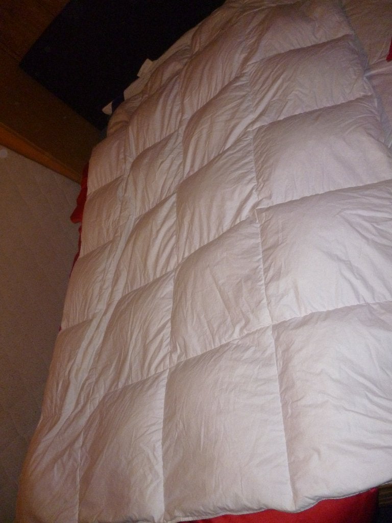 echt dons deken duitse., Huis en Inrichting, Dons en Veren, Ophalen of Verzenden, Twijfelaar, Inclusief kussenslopen