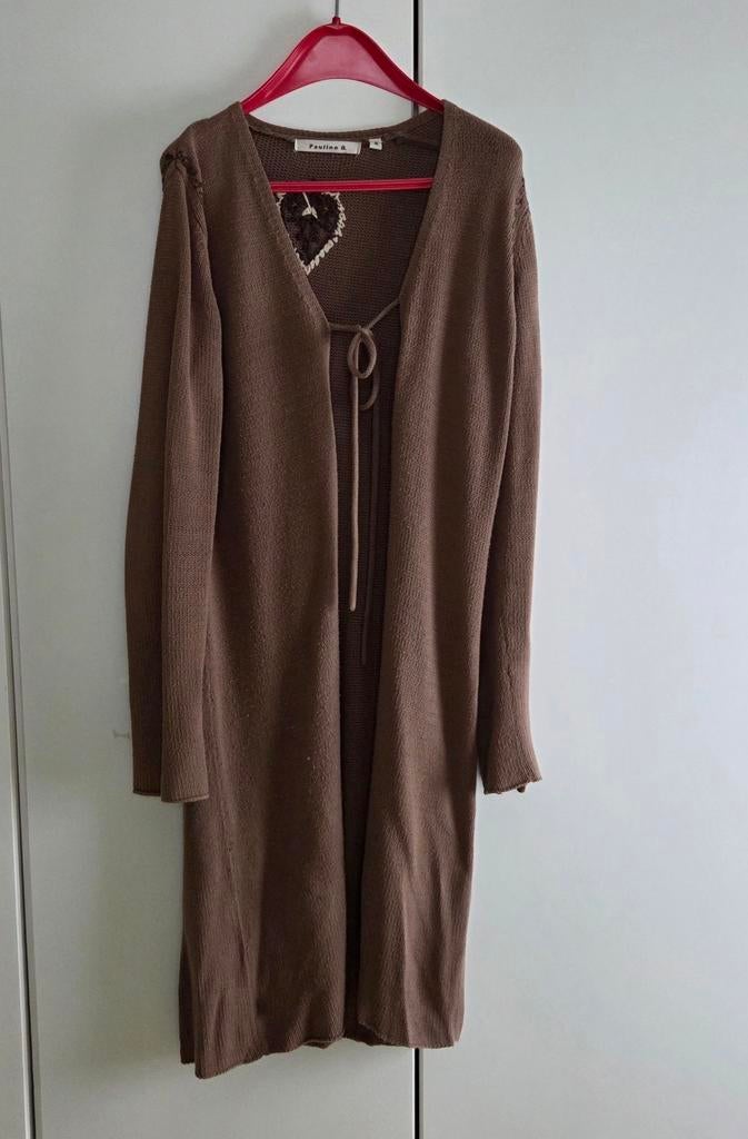 Bruine lange gilet van Pauline B, in heel goede staat, Pauline B., Ophalen, Zo goed als nieuw, Maat 38/40 (M)