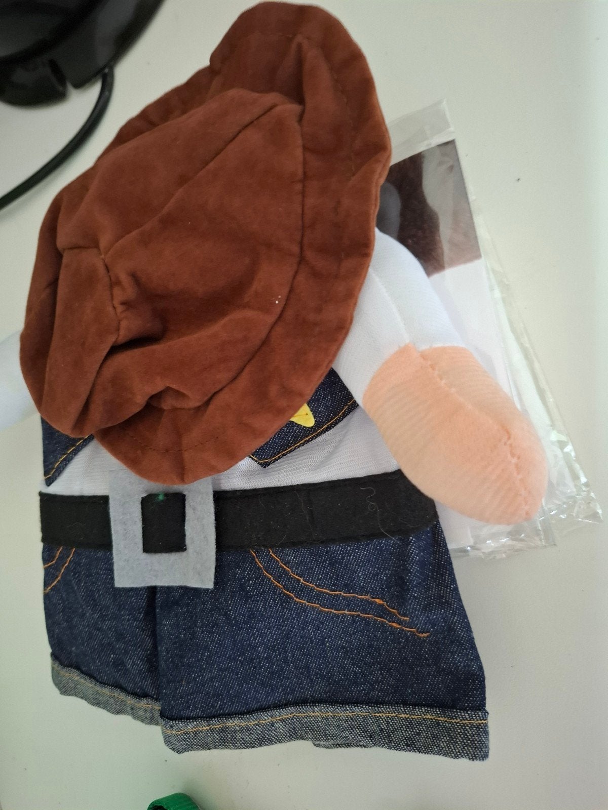 costume pour chat, Animaux & Accessoires, Enlèvement