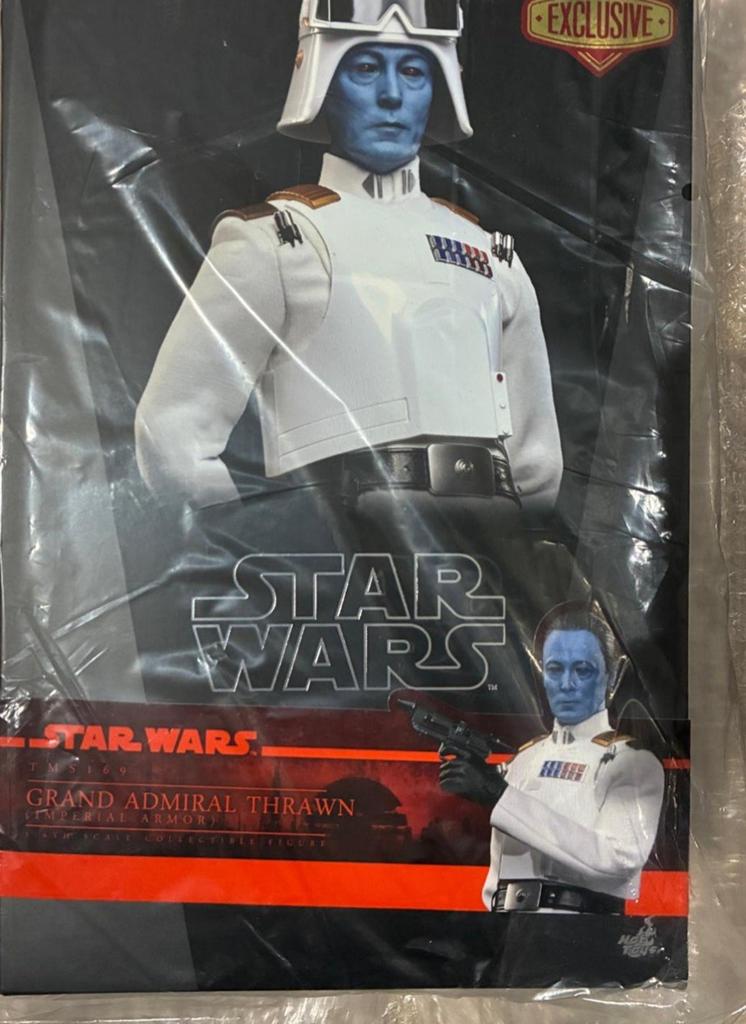 Hot toys, Ophalen of Verzenden, Zo goed als nieuw, Actiefiguurtje