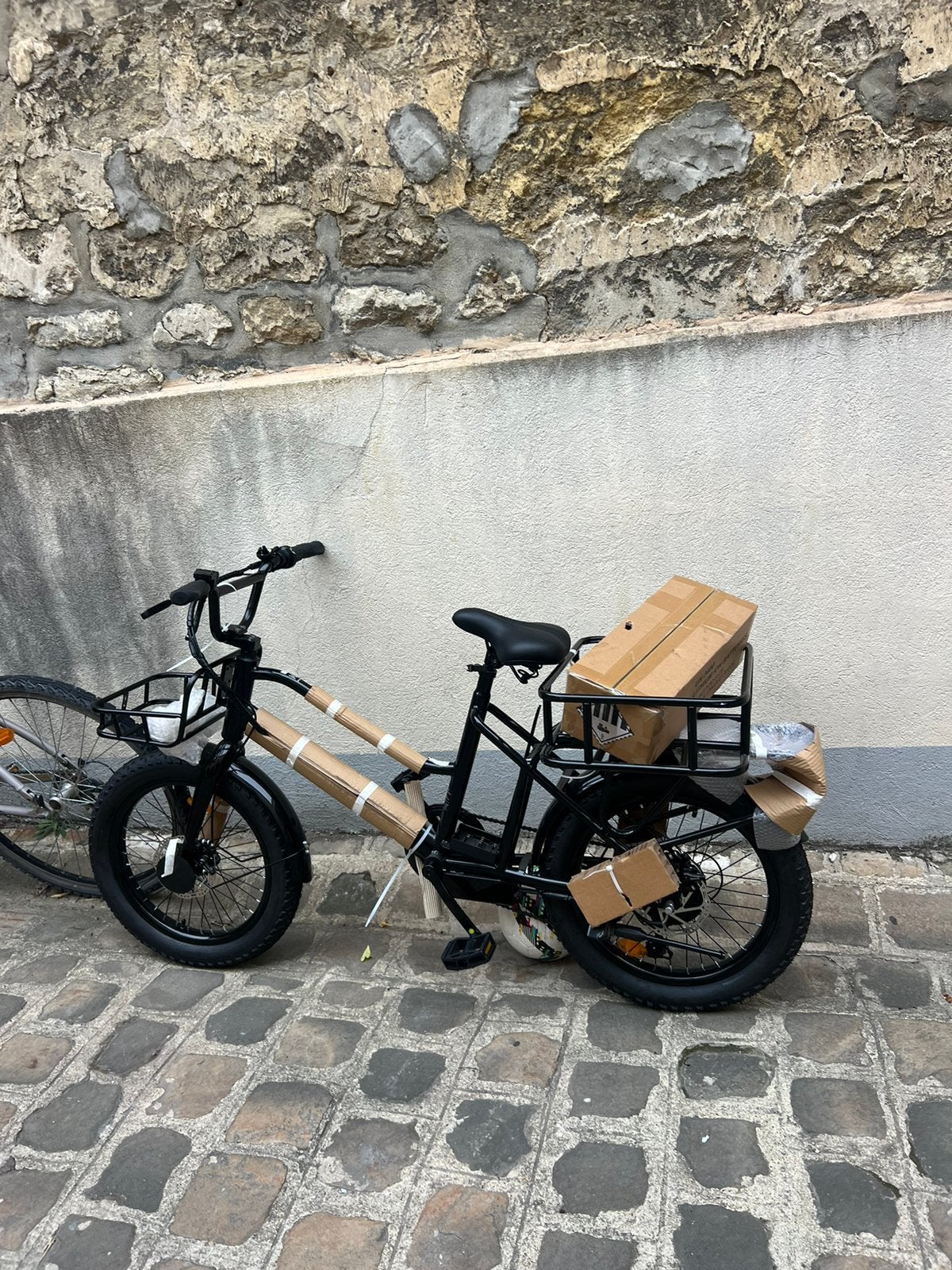 Cargo pro electric, Vélos & Vélomoteurs, Enlèvement, Neuf