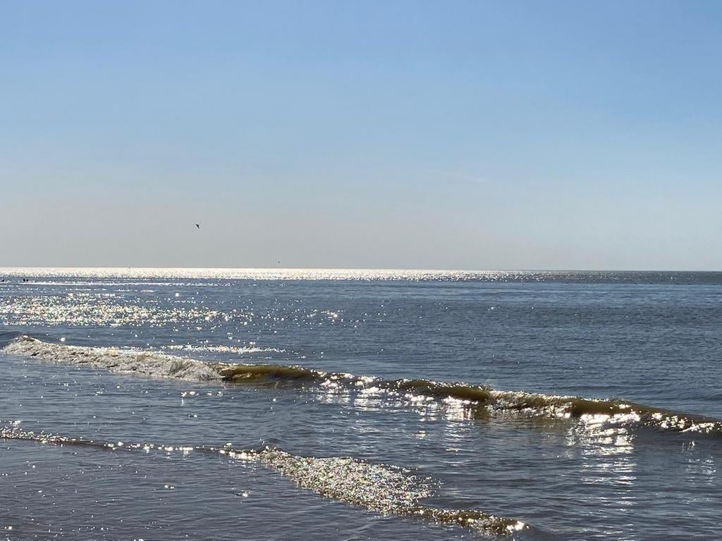 Studio met frontaal zeezicht te huur voor vakantie, Tv, Appartement, 4 personen, Stad