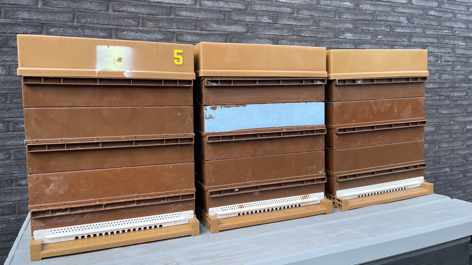 3 bijenkorven, Juli, Geslacht onbekend