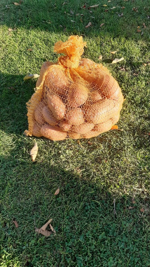 pommes de terre nouvelles à vendre, Enlèvement