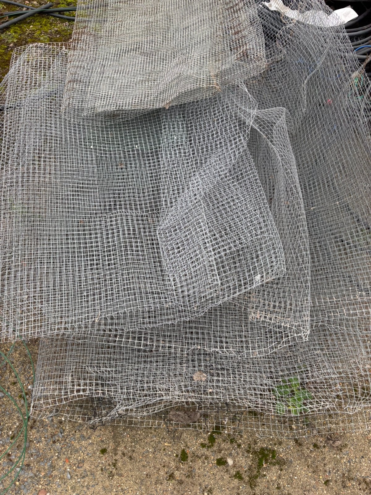 Gaas draad te koop 5m x 1,5m hoog = 20 euro, Tuin en Terras, Ophalen, Zo goed als nieuw, Draad