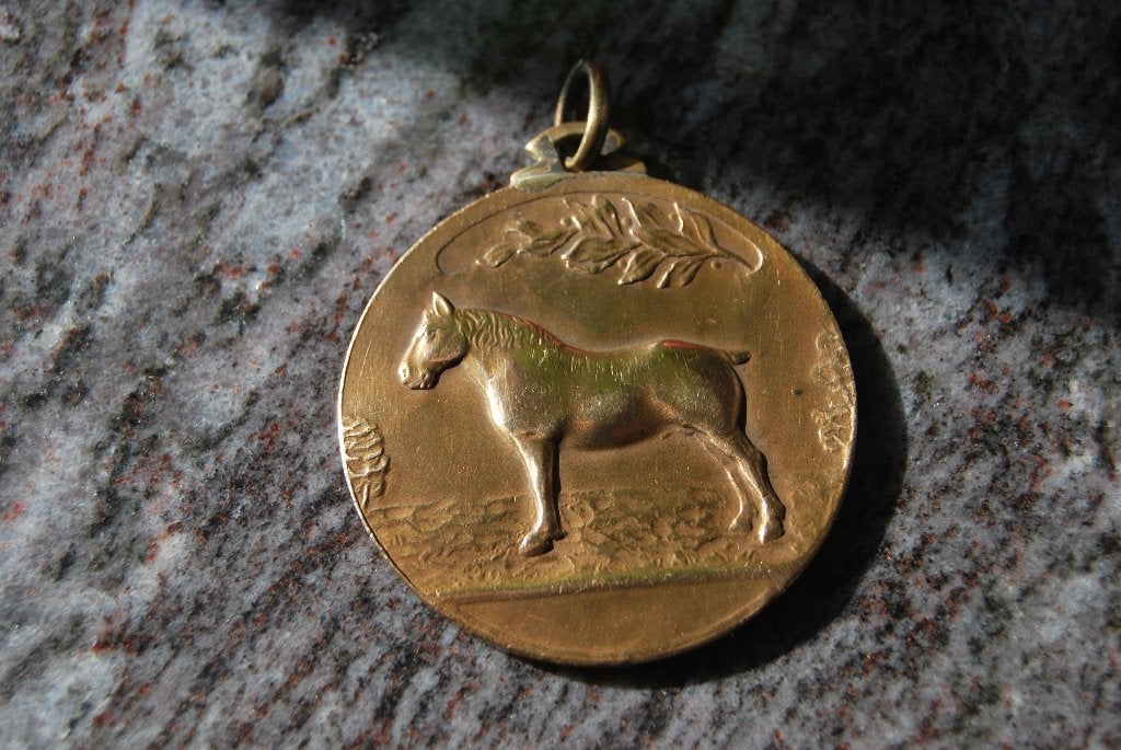 MEDAILLE BRONZE.  CHEVAL et CONCOURS ELEVEURS DU LIMBOURG., Enlèvement ou Envoi, Bronze