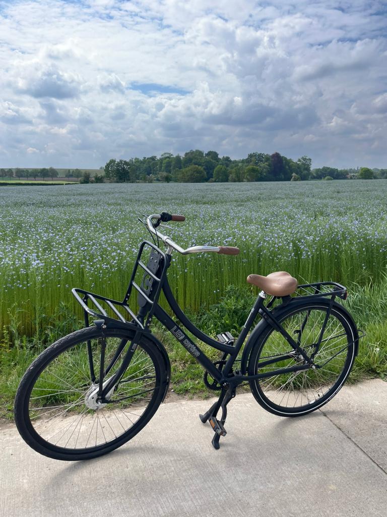 Cortina U4 Transport – 3 versnellingen, Fietsen en Brommers, Fietsen | Dames | Omafietsen, Ophalen, Terugtraprem, Gebruikt, 47 tot 50 cm