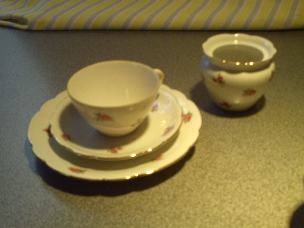 huis en inrichting Bavaria tee servies, Ophalen, Gebruikt, Porselein, Overige stijlen