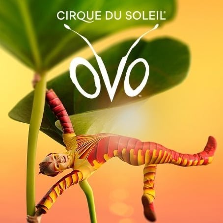 Tickets voor Cirque du Soleil - Ovo, Twee personen, Oktober