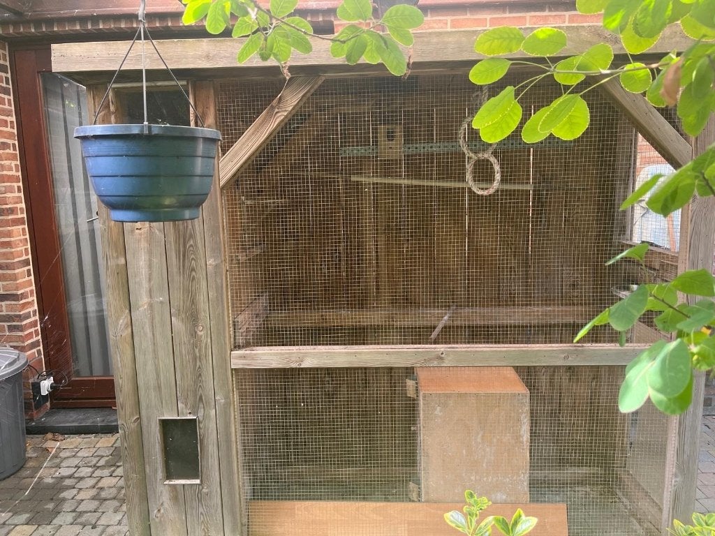 Stevige buitenvoliere in hout., Dieren en Toebehoren, Ophalen, Gebruikt, Hout, Volière