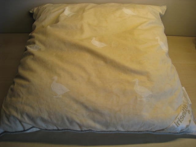 Hoofdkussen Irisette, 60x60, vulling 500 gr, 50% ganzendons, Ophalen, Katoen