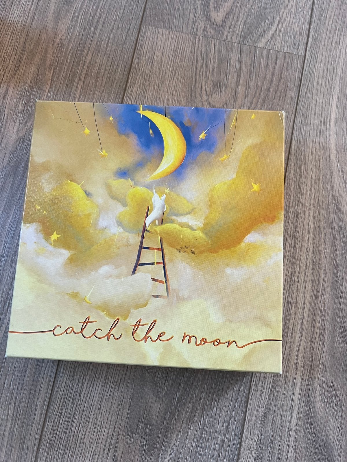 Spel catch the moon, Hobby en Vrije tijd, Gezelschapsspellen | Overige, Ophalen, Gebruikt