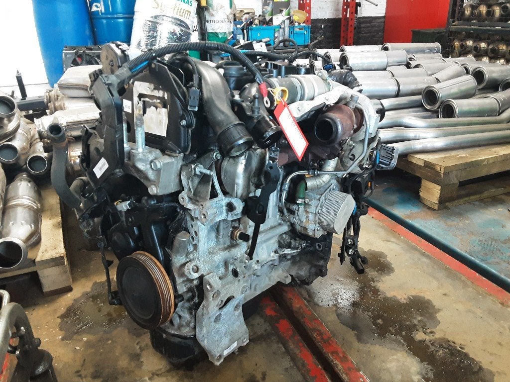 MOTOR Ford EcoSport (JK8) (01-2013/04-2015) (C15DS0X), Auto-onderdelen, Motor en Toebehoren, Ford, Gebruikt