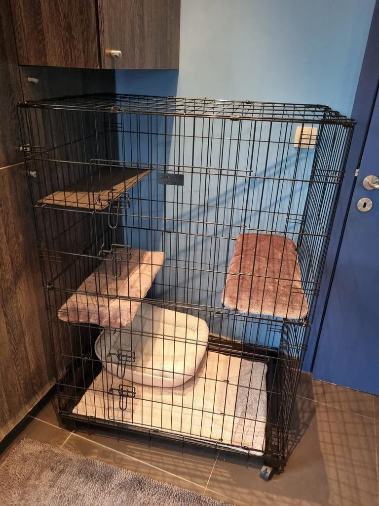 Katten bench, Dieren en Toebehoren, Ophalen