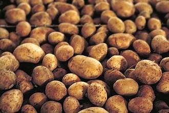 ( Nieuw) Aardappelen te koop, met mogelijkheid huis levering, Ophalen