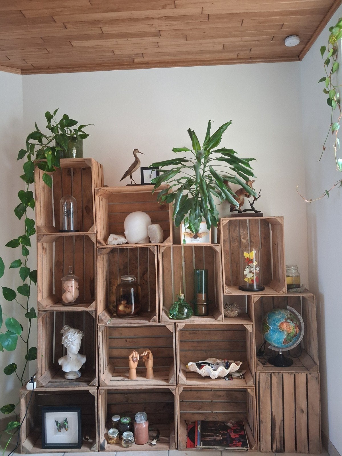 GRATIS: 14 fruitkratjes, gebruikt voor interieur, Huis en Inrichting, Kasten | Wandmeubels, Ophalen