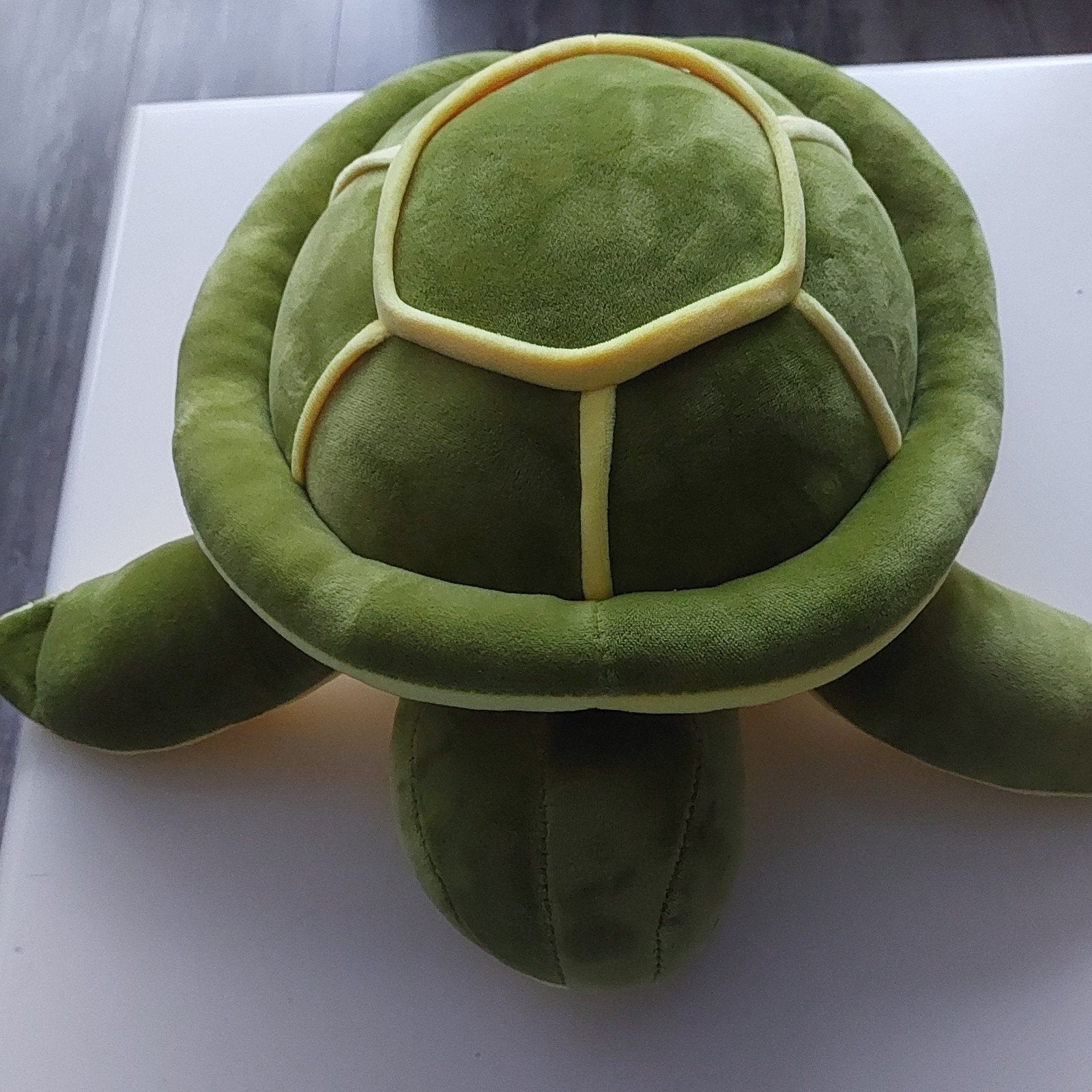 Tortue douce. En bon état, Enlèvement