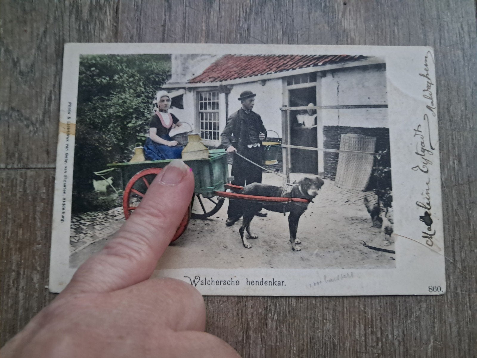 beschreven pk : Walchersche hondenkar, Ophalen of Verzenden