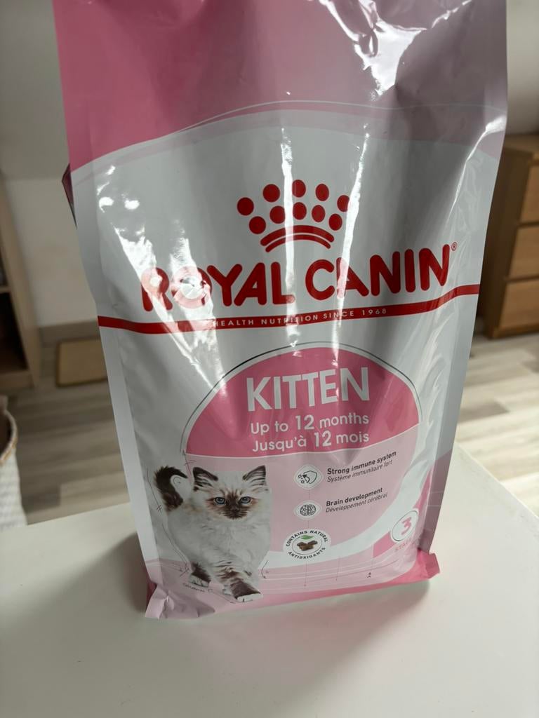 Royal Canin Kitten, Animaux & Accessoires, Nourriture pour Animaux, Enlèvement, Chat