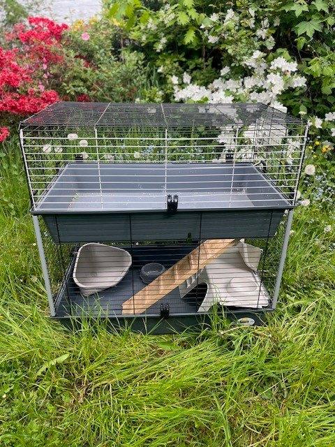 coole hamsterkooi, Dieren en Toebehoren, Knaagdieren en Konijnen | Hokken en Kooien, Gebruikt, Kooi, Cavia, Chinchilla, Fret, Hamster