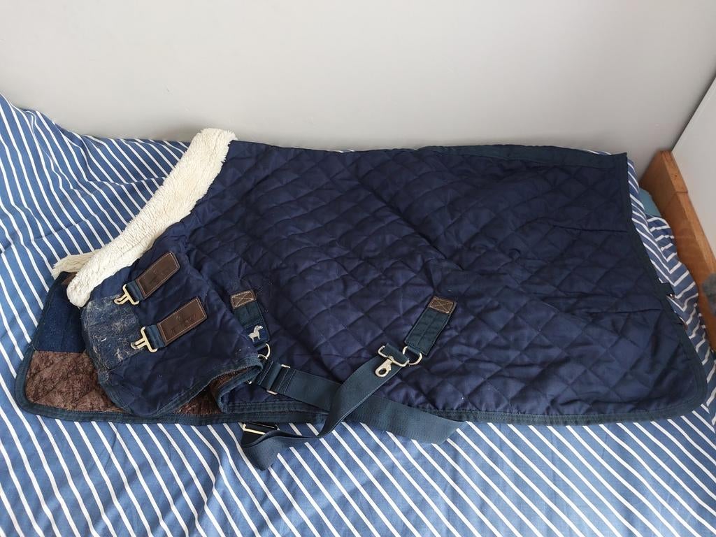 Dekens kentuchy a pony, Dieren en Toebehoren, Ophalen, Blauw