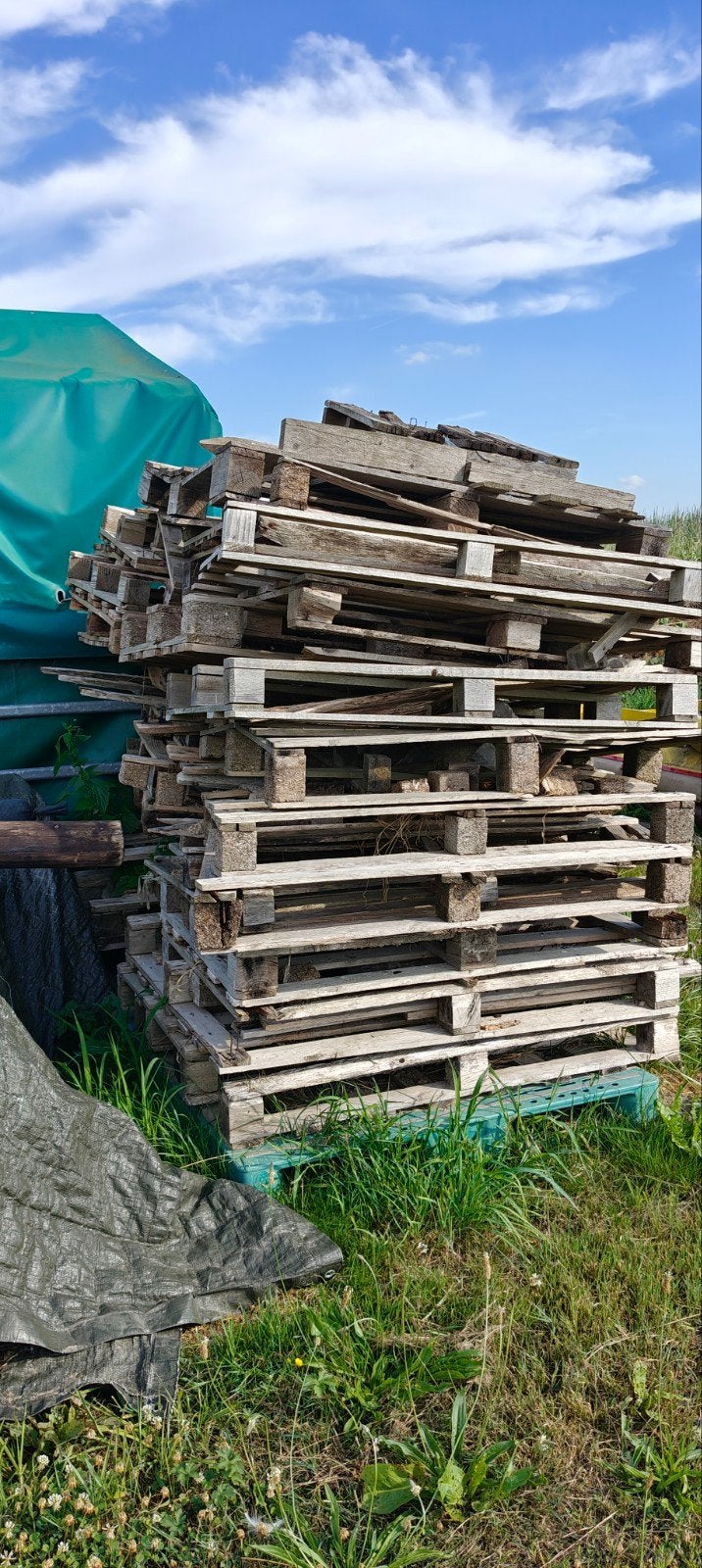 gratis brandhout, Tuin en Terras, Ophalen