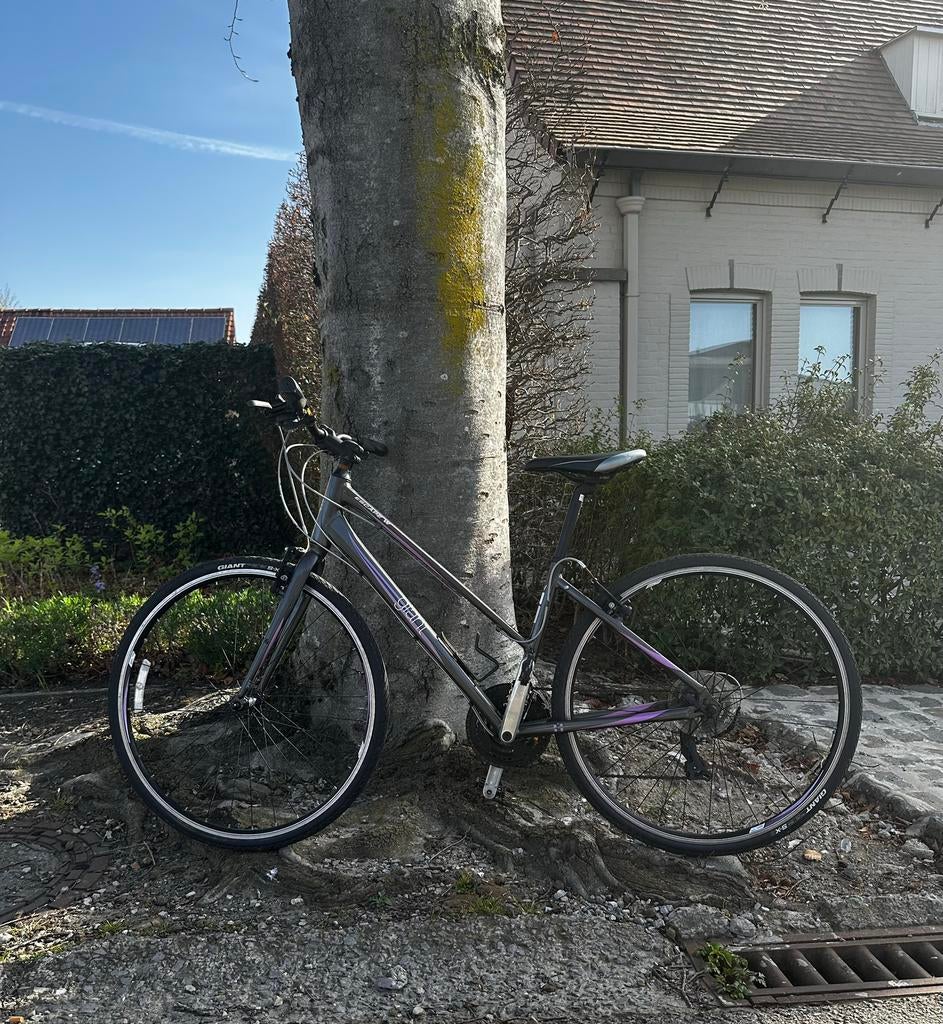 Fiets( merk giant), Enlèvement, Comme neuf