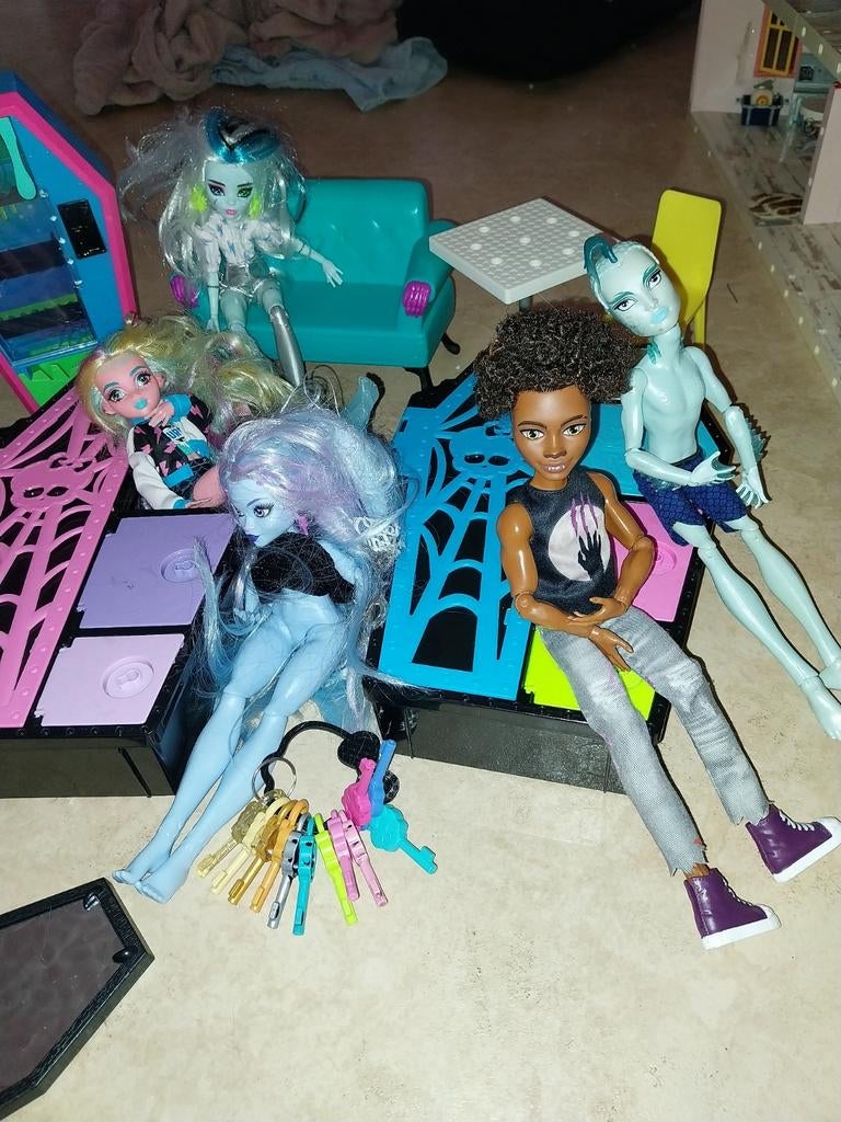 Groot lot monster high, Ophalen