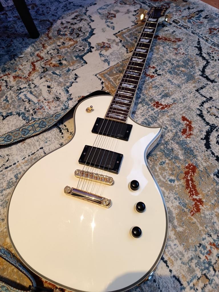 ESP LTD EC, Musique & Instruments, Enlèvement
