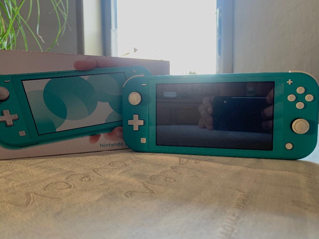 Nintendo Switch Lite, Games en Spelcomputers, Spelcomputers | Nintendo Switch Lite, Ophalen of Verzenden, Overige kleuren, Zo goed als nieuw