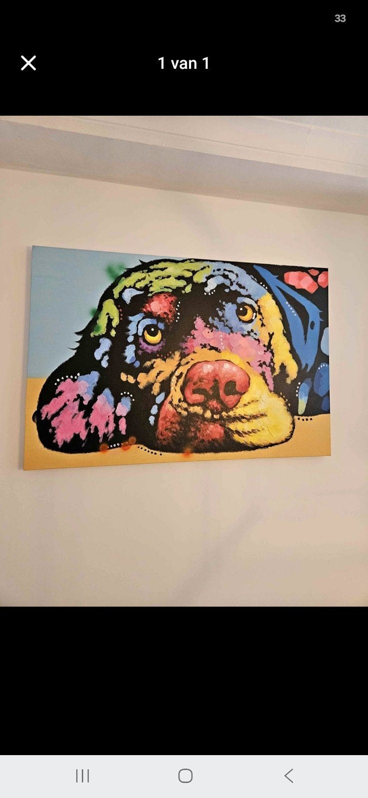 Kleurrijk schilderij op canvas in pop-art stijl. 120 x 80 cm, Antiek en Kunst, Ophalen