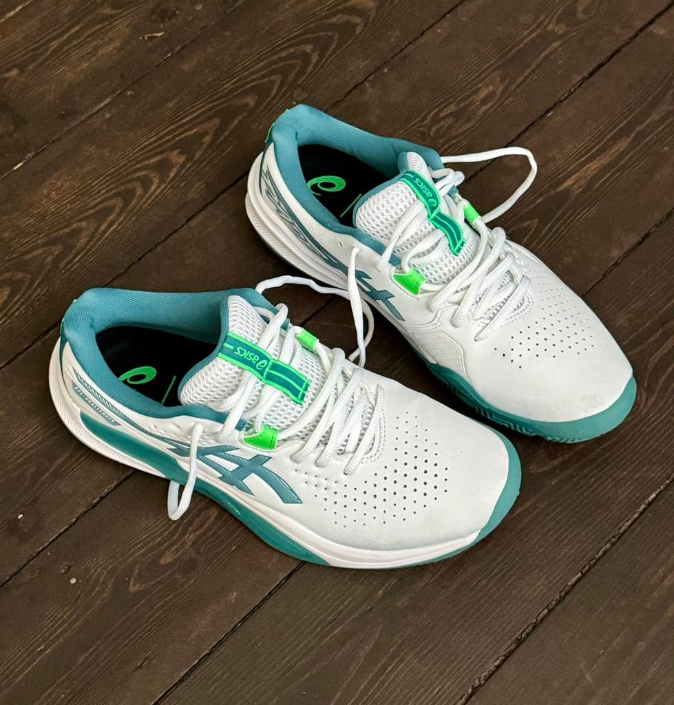 Chaussures Asics Padel Gel Challenger ! Nouveau !, Enlèvement ou Envoi, Comme neuf