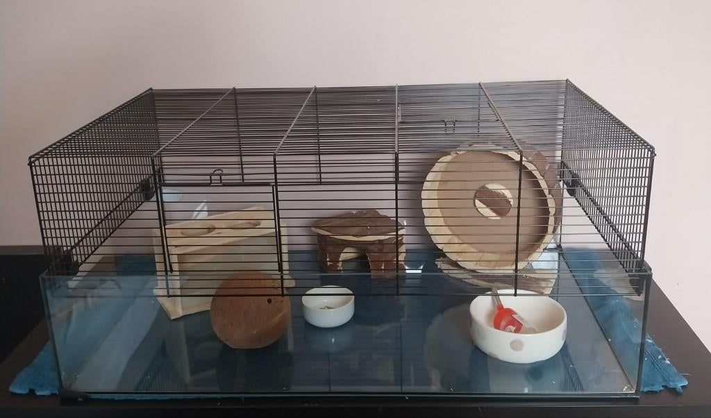 HAMSTER-GERBILKOOI, Moins de 60 cm, 75 à 110 cm, Cage, Comme neuf