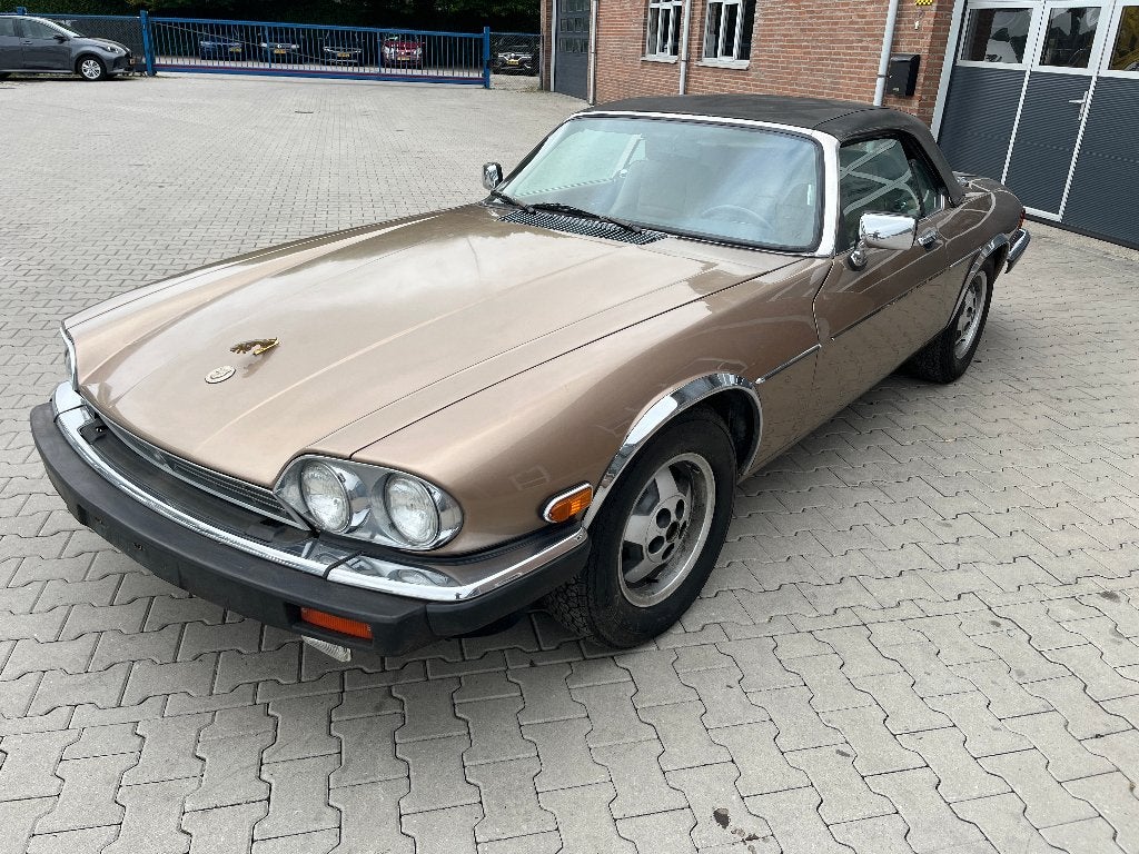 Jaguar XJS V12 cabriolet 1989, Cuir, Achat, Beige, Entreprise