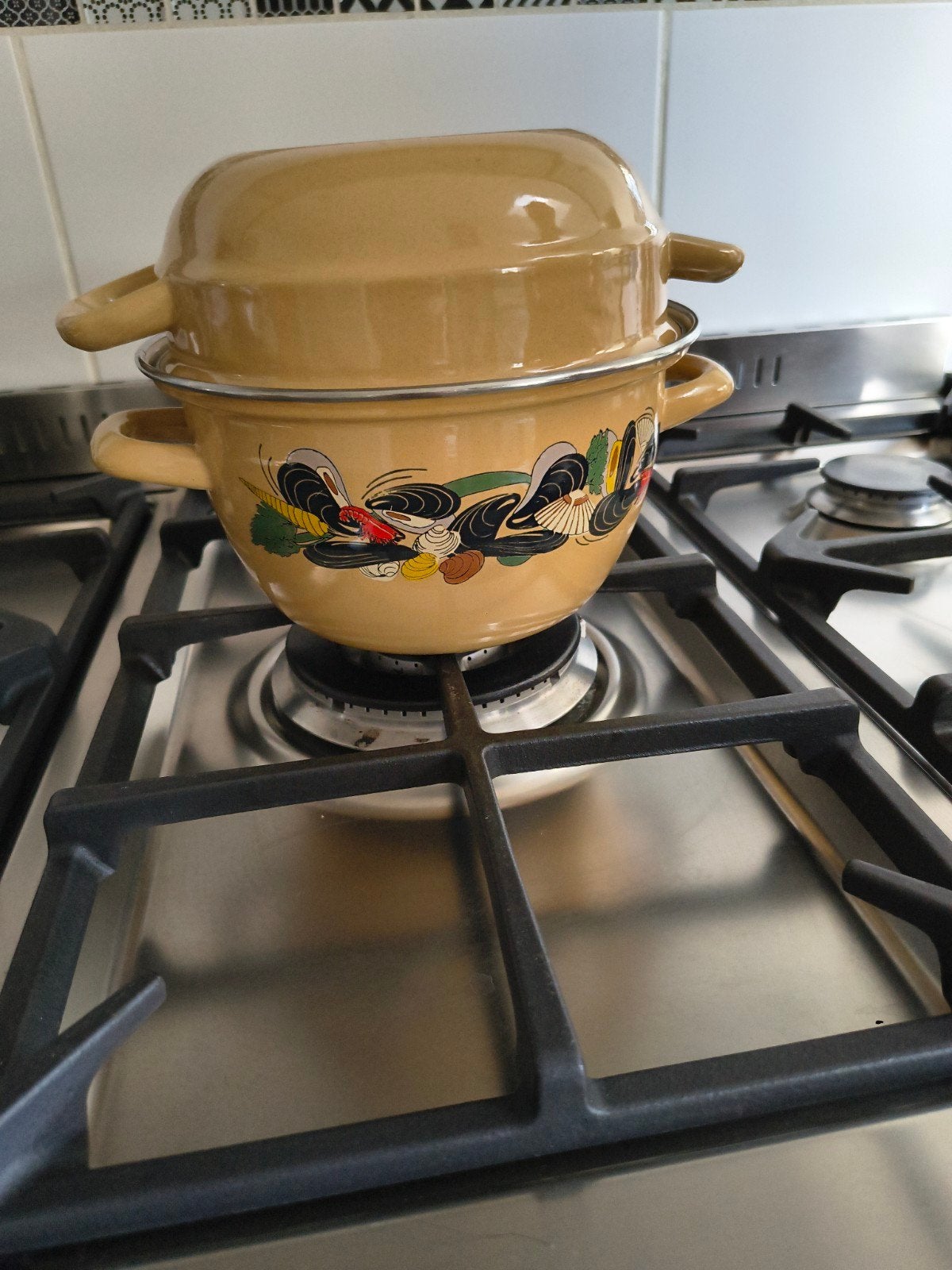 mossepot geemailleerd, diameter 20 cm, Met deksel, Ophalen, Zo goed als nieuw, Emaille