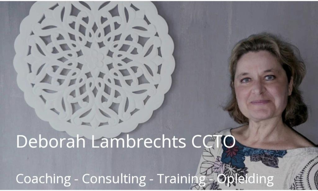 WORK-LIFE BALANCE (live coaching)
met VDAB loopbaancheques, Boeken, Ophalen